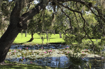 Almeria Luxury Villas Florida 14 White City Park 1